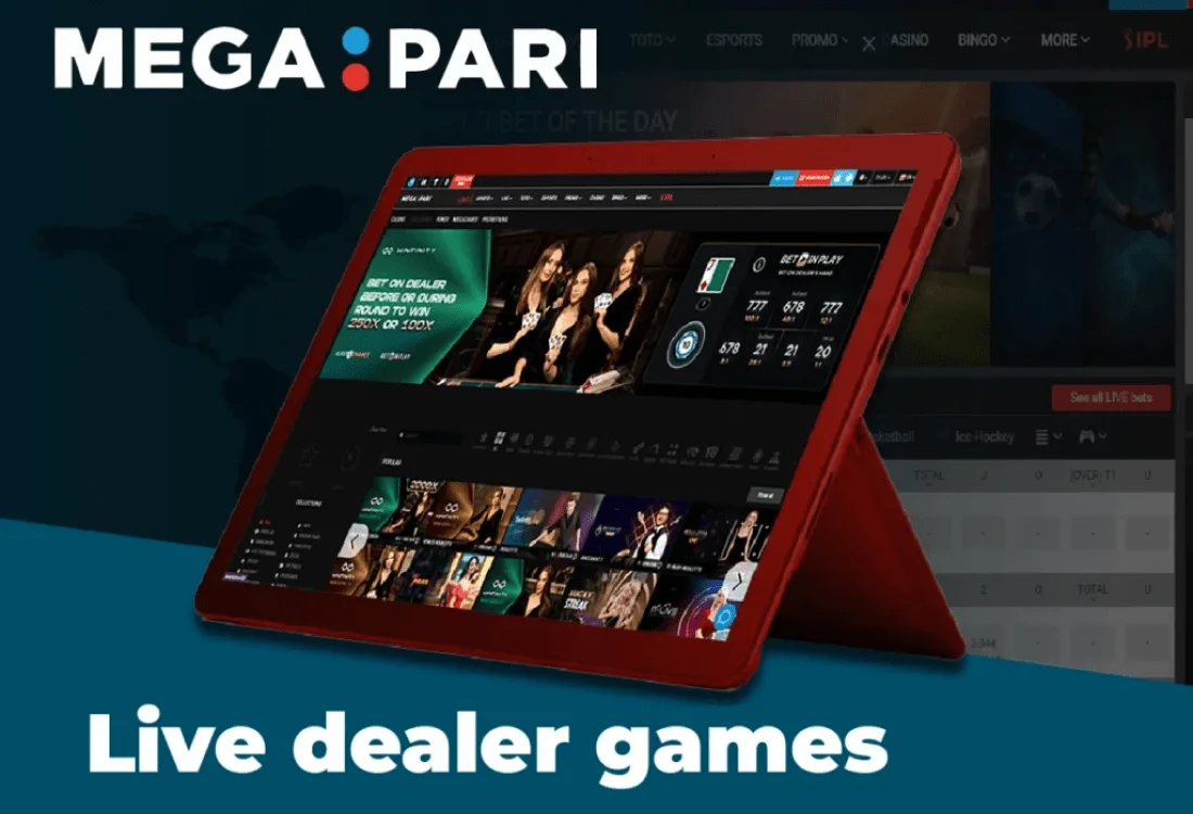 Dragon tiger casino