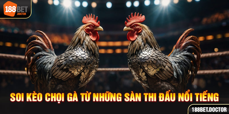 Bet sport online